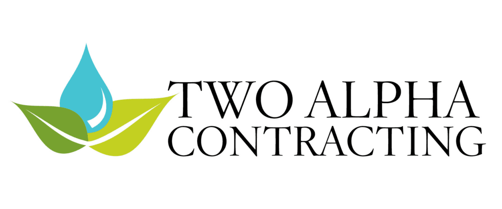 Two.alpha.logo.color